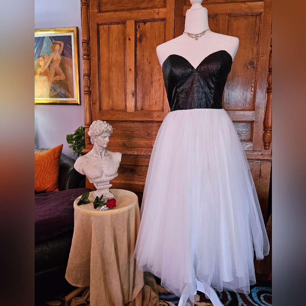 Camille La Vie Elegant Prom Dress. Black Leather Fitted Bodice, Tulle Skirt